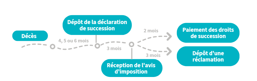 Ligne du temps retraçant toutes les étapes du décès, jusqu'au paiement des droits de succession.